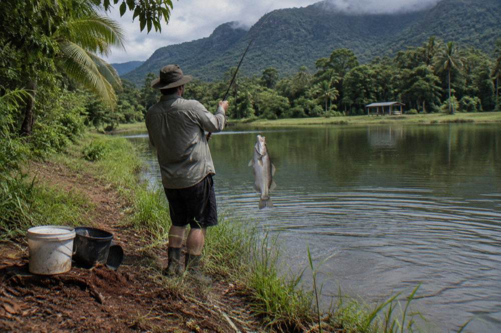 Person holding a barramundi above a calm pond surrounded by tropical farmland