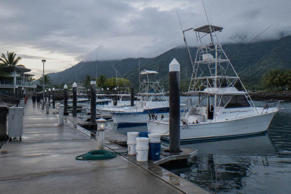 A marina jetty at morning with fishing boats moored along the berths