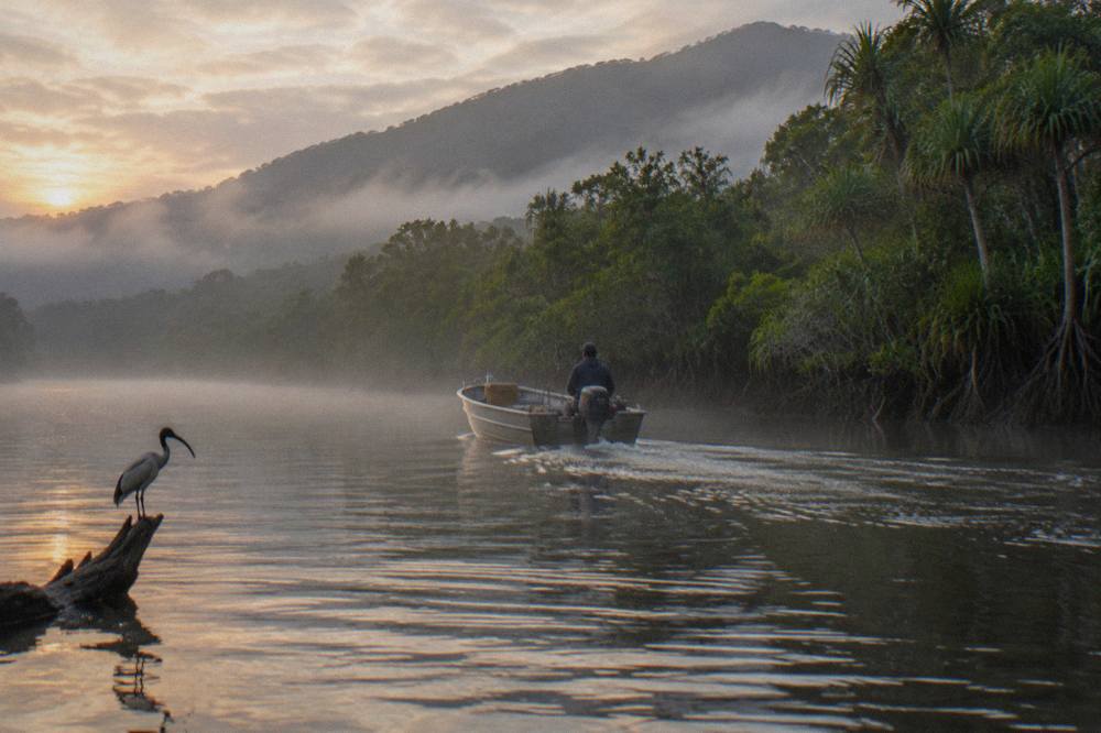 Small open fishing boat cruising through a mangrove-lined tropical inlet at sunrise