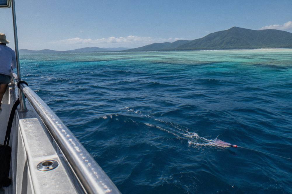 Open blue tropical ocean water beyond the edge of a coral reef