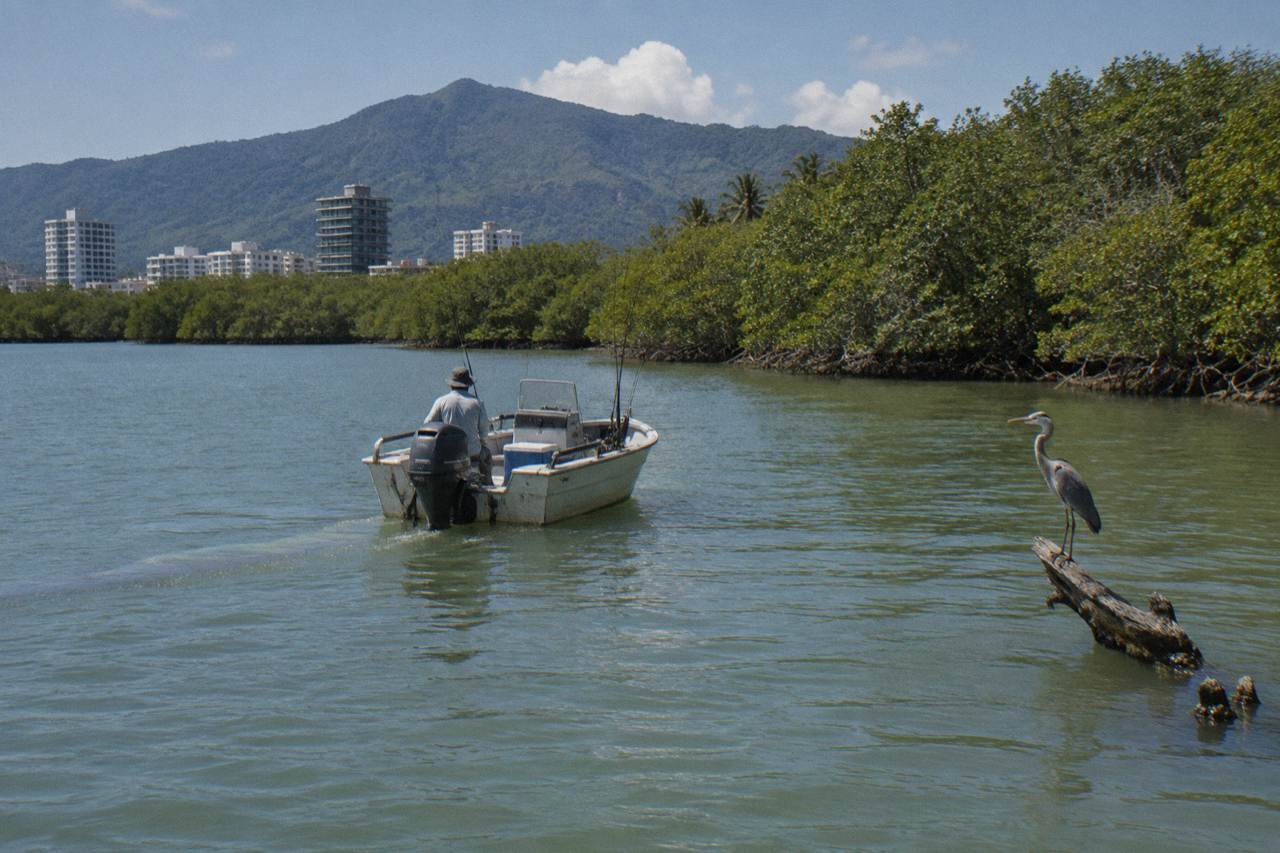 A small fishing boat on calm tropical inlet water at sunrise with mangrove shoreline