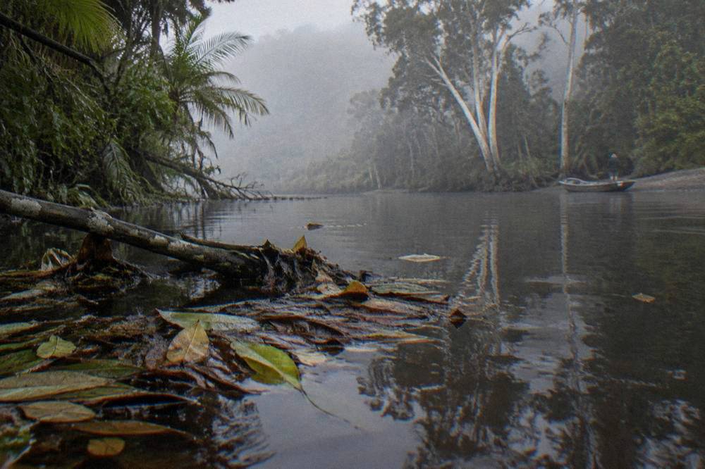 Mangrove lined creek water in tropical north Queensland with light morning mist
