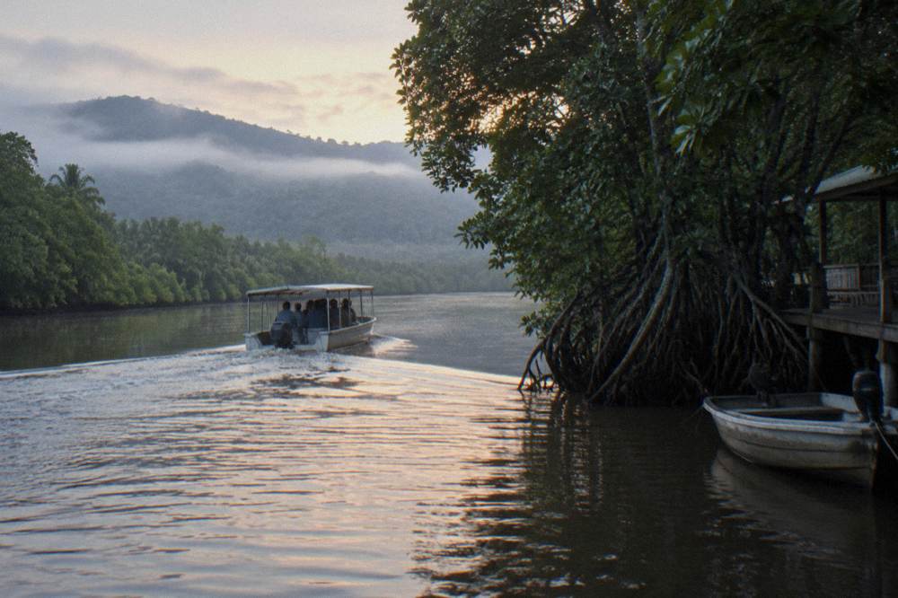 Small river fishing boat working a mangrove-lined tropical inlet at dawn