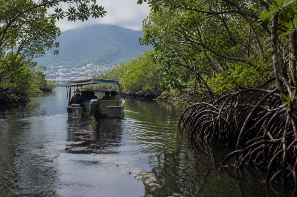 A small shaded fishing boat drifting along mangrove lined channel water in the early morning