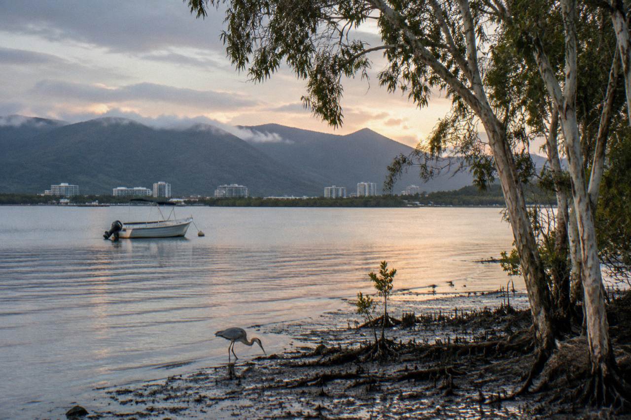 Calm mangrove lined waters of a tropical inlet at first light with a small boat at rest