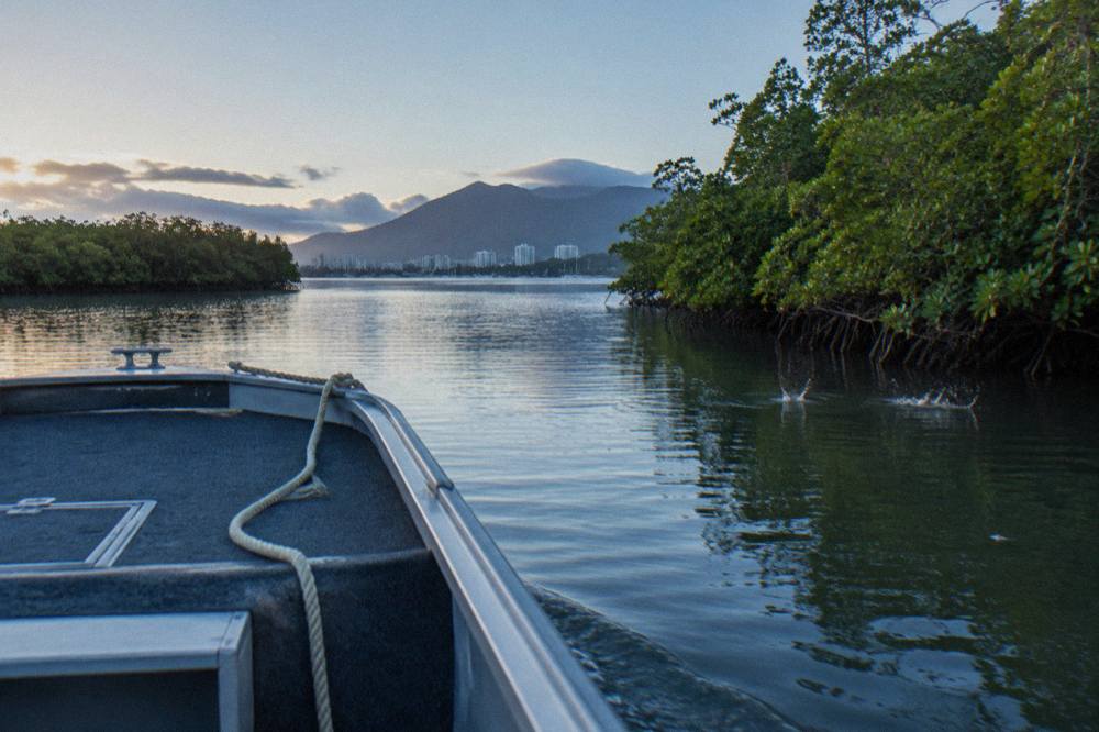 Small open fishing boat drifting along a mangrove creek channel in early light