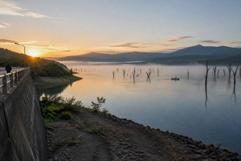Wide calm dam water with drowned timber standing in the lake at sunrise
