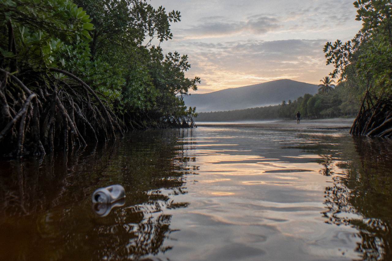 Mangrove-lined creek channel at dawn with calm water reflecting the trees