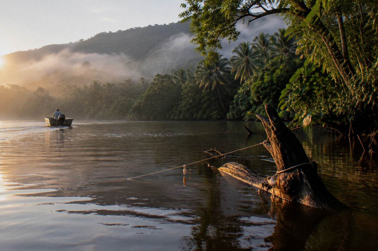 Mangrove-lined creek channel at dawn in tropical North Queensland
