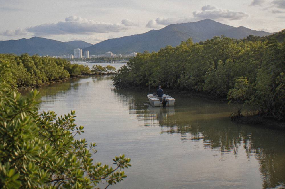 Mangrove lined channel of a tropical inlet with glassy water at first light
