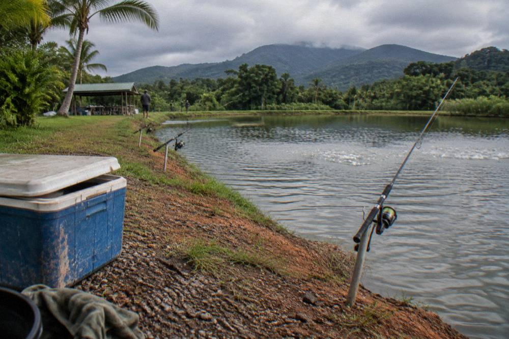 Shaded fishing pond surrounded by tropical vegetation with rod holders on the bank
