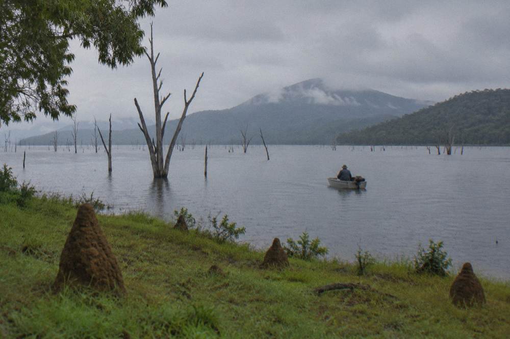 Still inland lake at dawn with drowned timber standing in the water and hills behind