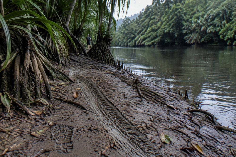 Wooden warning sign on a post beside a tropical river bank with dense vegetation