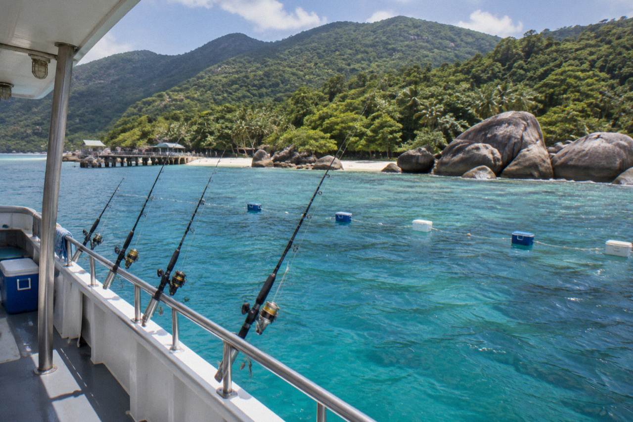 Fishing rods resting in holders along the rail of a small charter boat on calm tropical water
