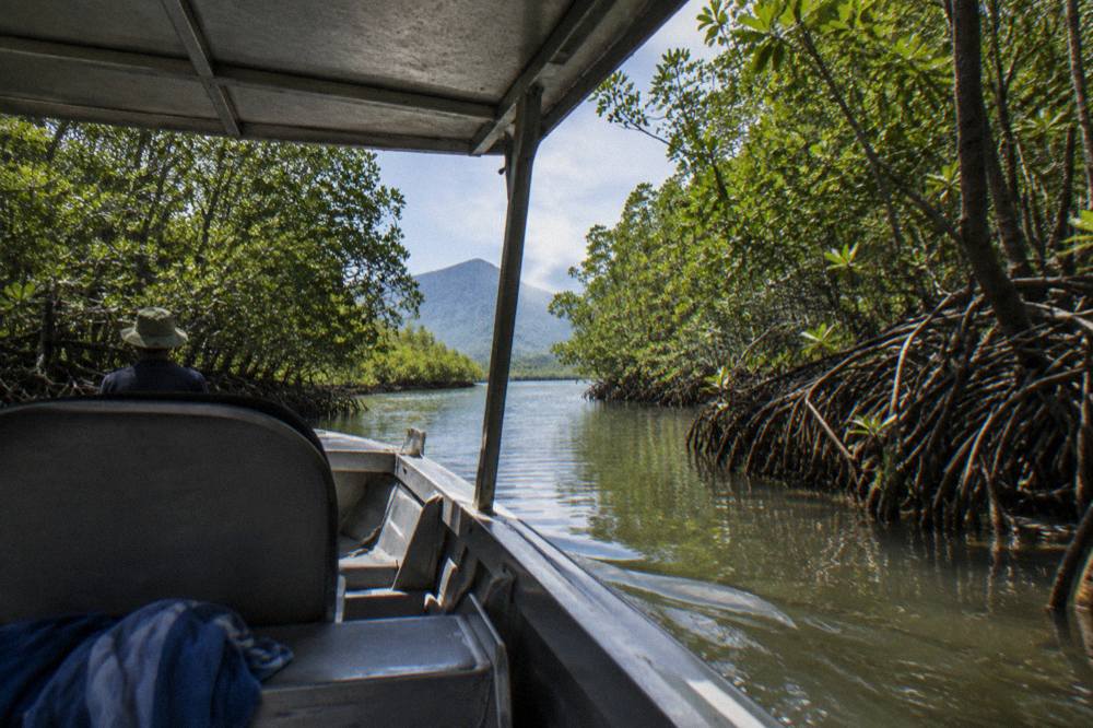Small shaded tinny boat drifting on a calm tropical inlet