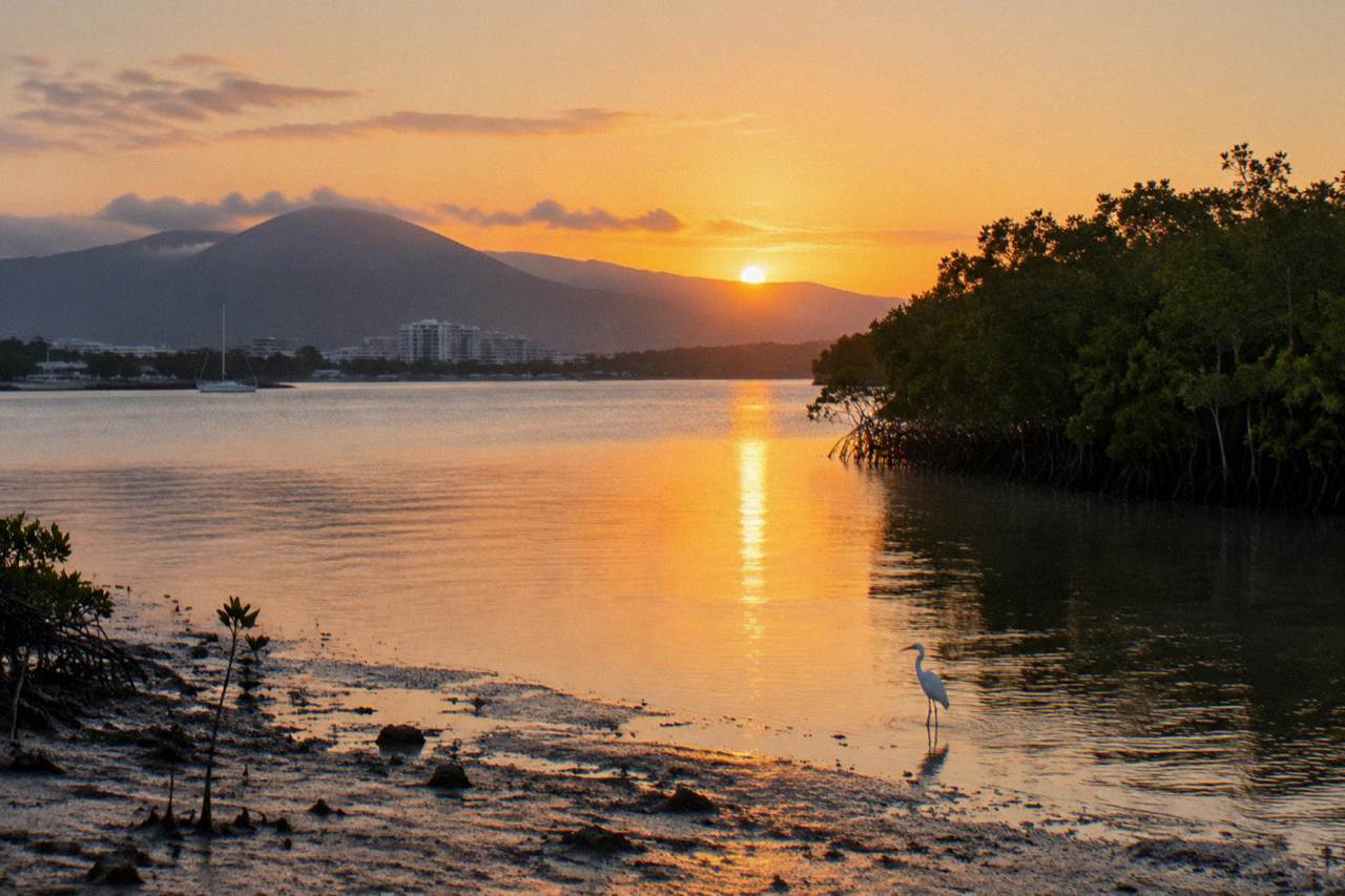 Calm tropical inlet water at sunrise with mangroves along the shoreline