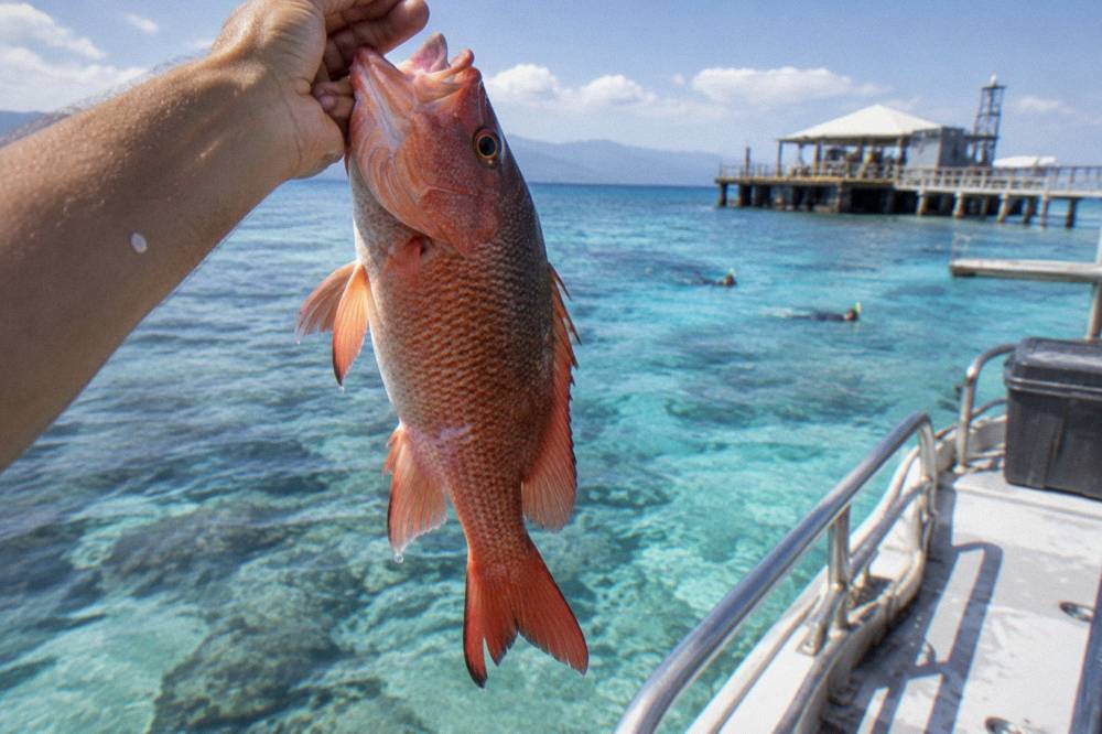 A reef fish held above a boat deck with clear tropical water and reef edge behind