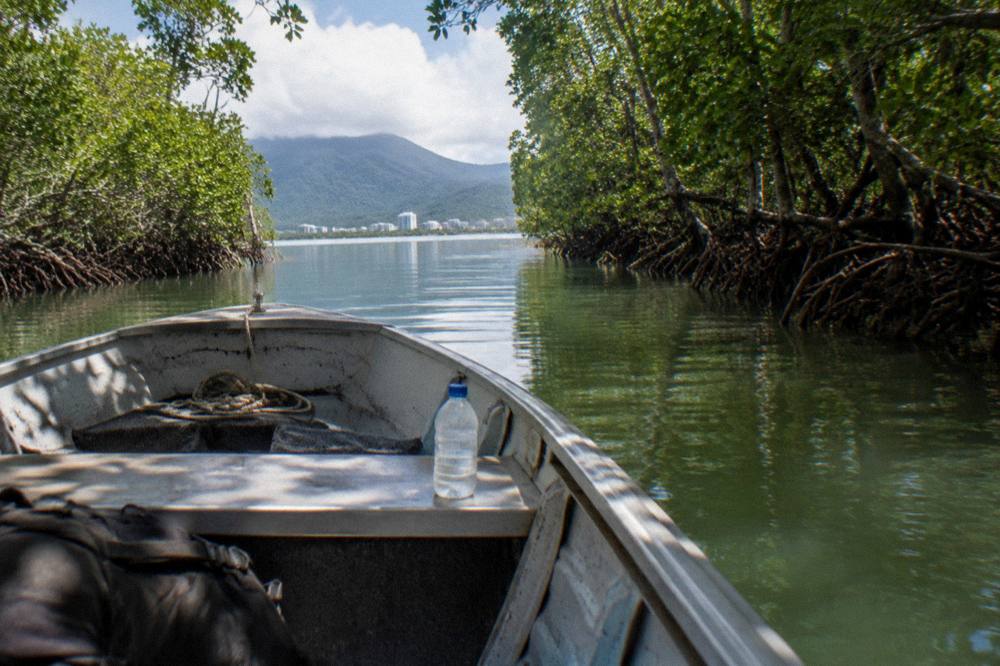 A shaded small boat drifting on calm green inlet water surrounded by mangrove trees