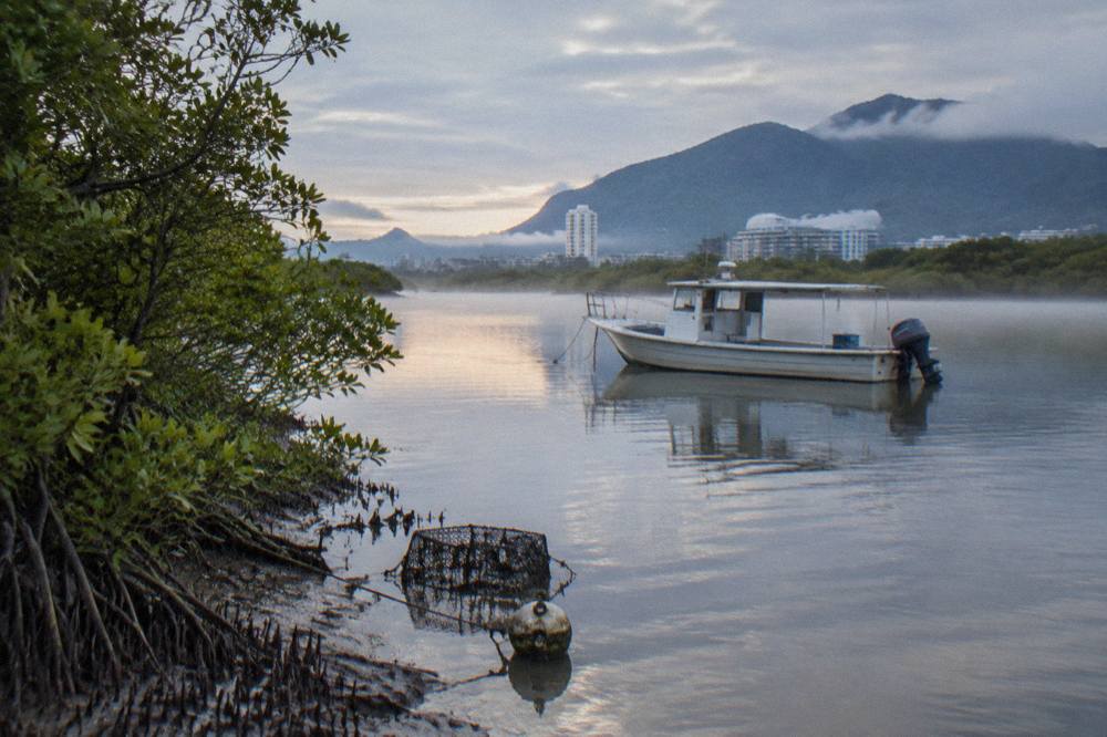 Calm estuary water mangroves and a small anchored fishing boat at dawn
