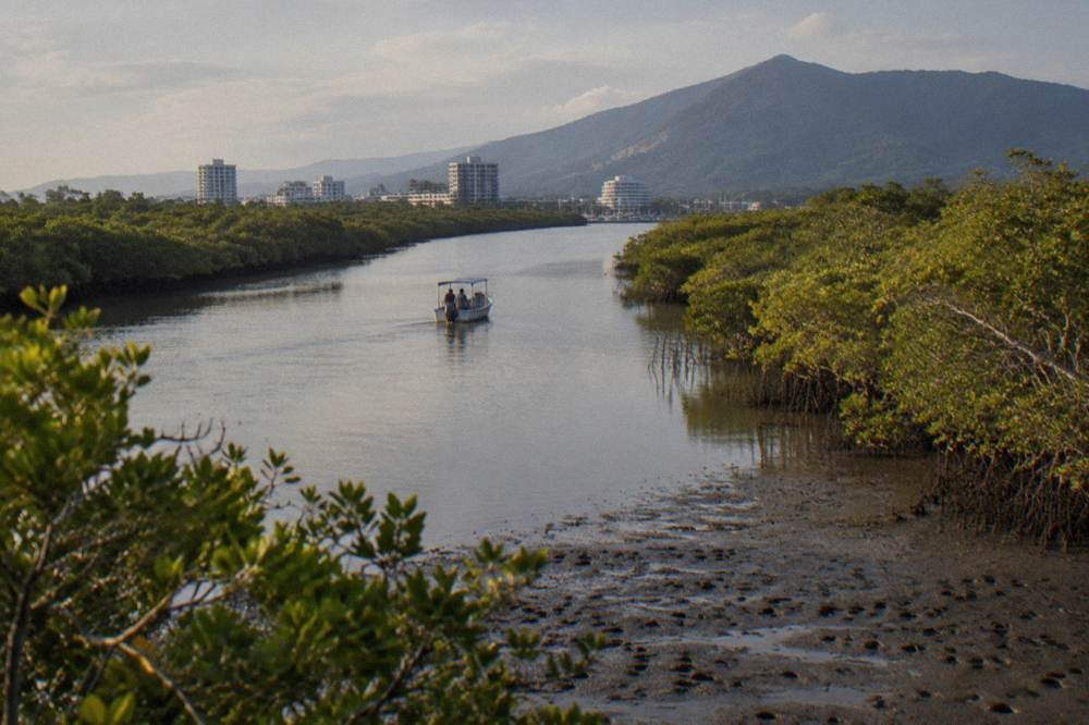 Small river boat drifting near mangrove-lined channel in an inlet