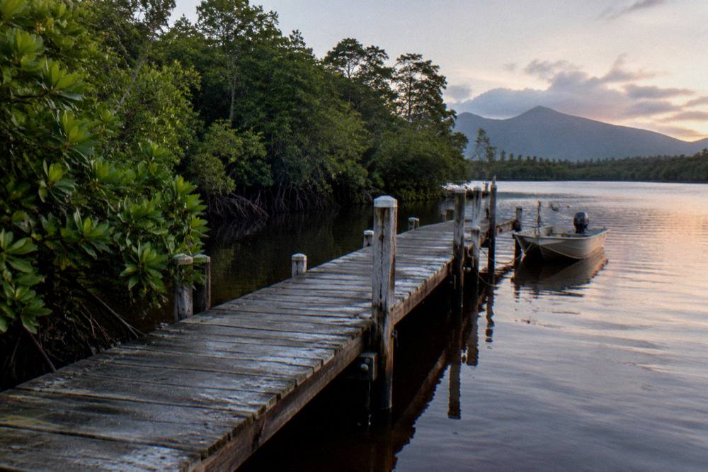 Wooden jetty over a tropical creek with mangrove forest at dawn