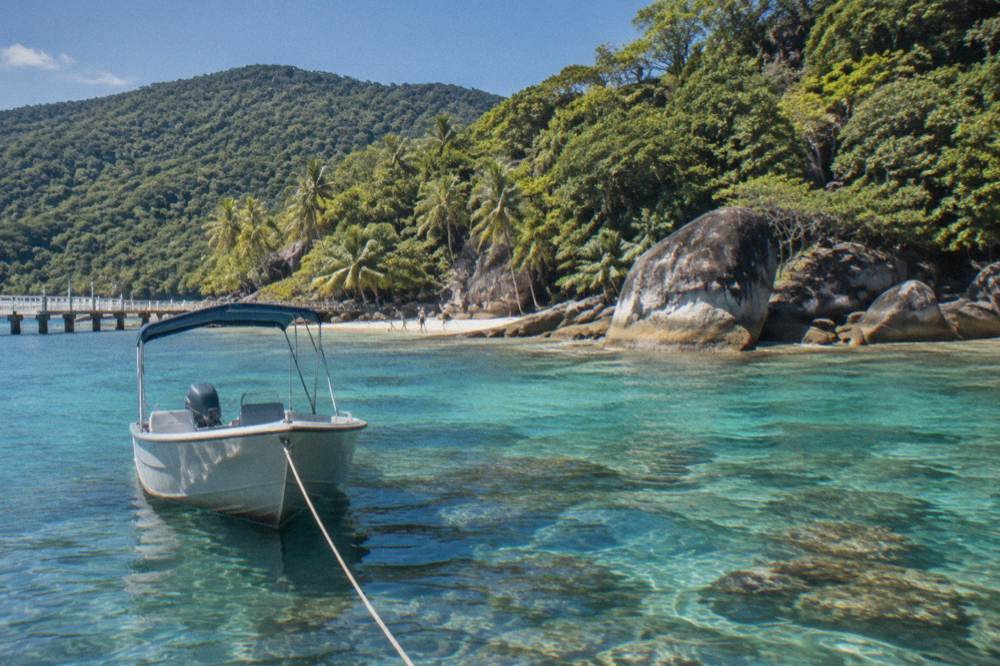 Boat anchored near a tropical mangrove shoreline under clear sky