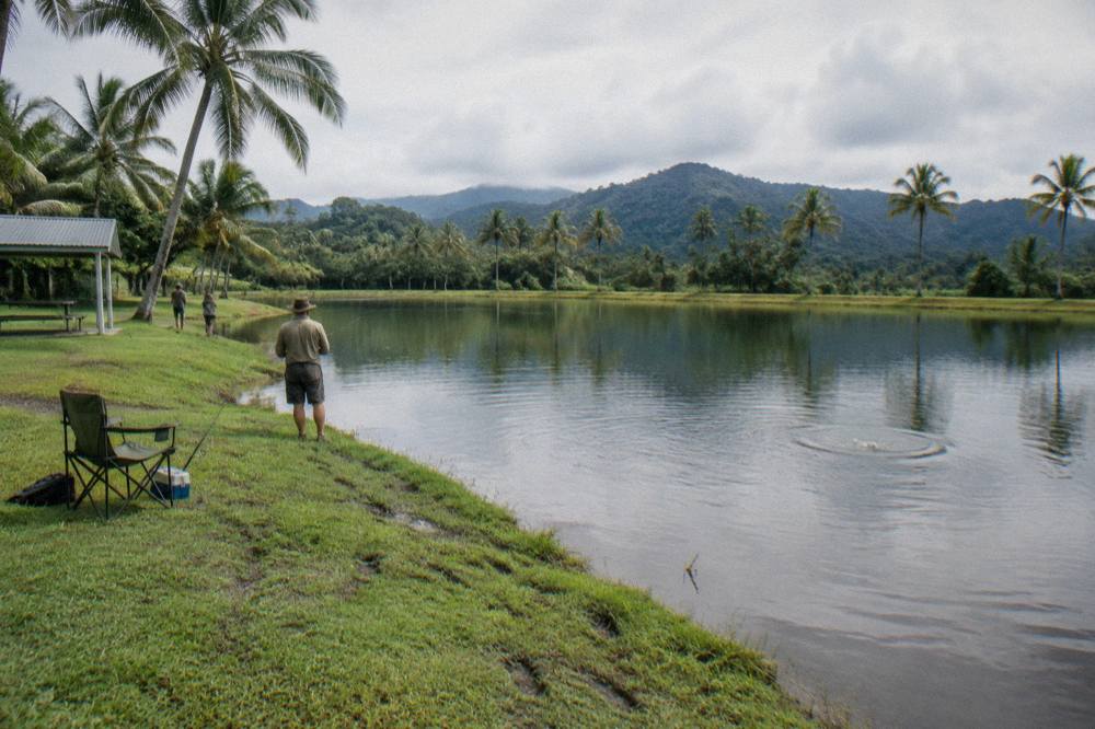 A stocked fishing pond surrounded by tropical trees under a bright sky