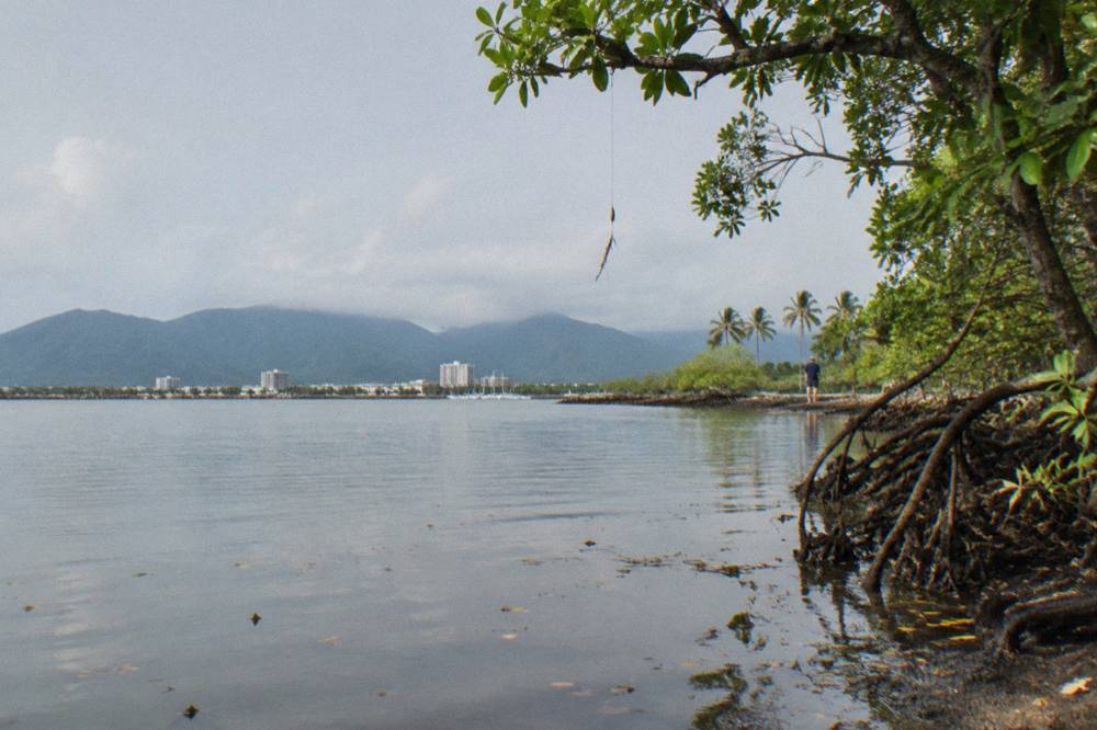 Mangrove-lined creek bank under a big tropical sky with still water