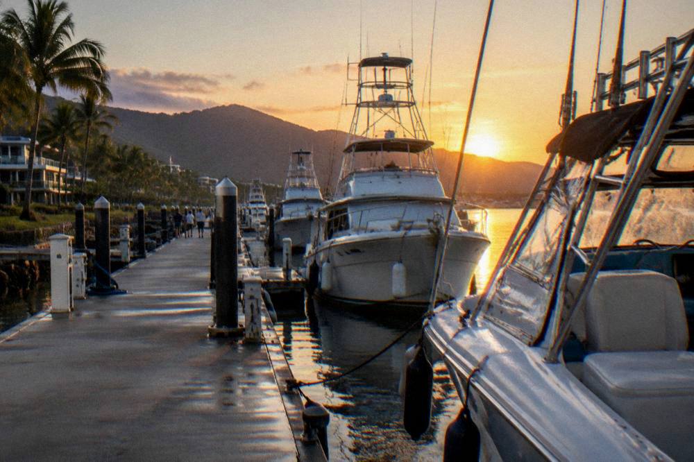 Fishing charter boats tied along a tropical marina at sunrise