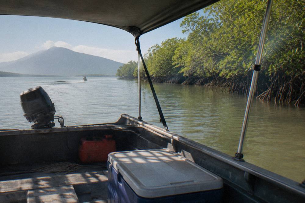 Small shaded tinny boat drifting on calm water near mangroves