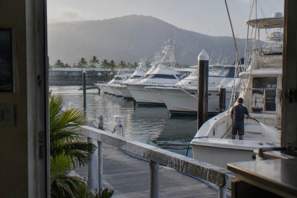 Charter boats moored in a tropical marina basin in the early morning