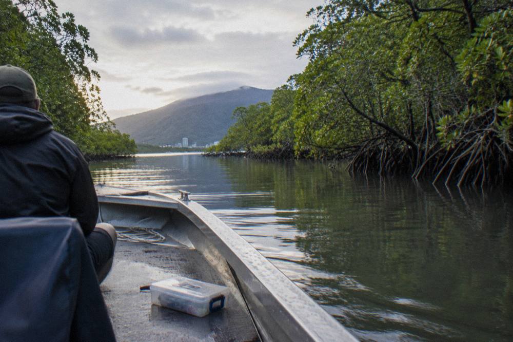 Small aluminium fishing boat drifting near mangrove lined channel in early light