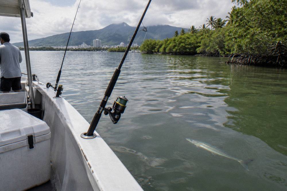 Fishing rods resting in holders along the side of a small charter boat on calm water