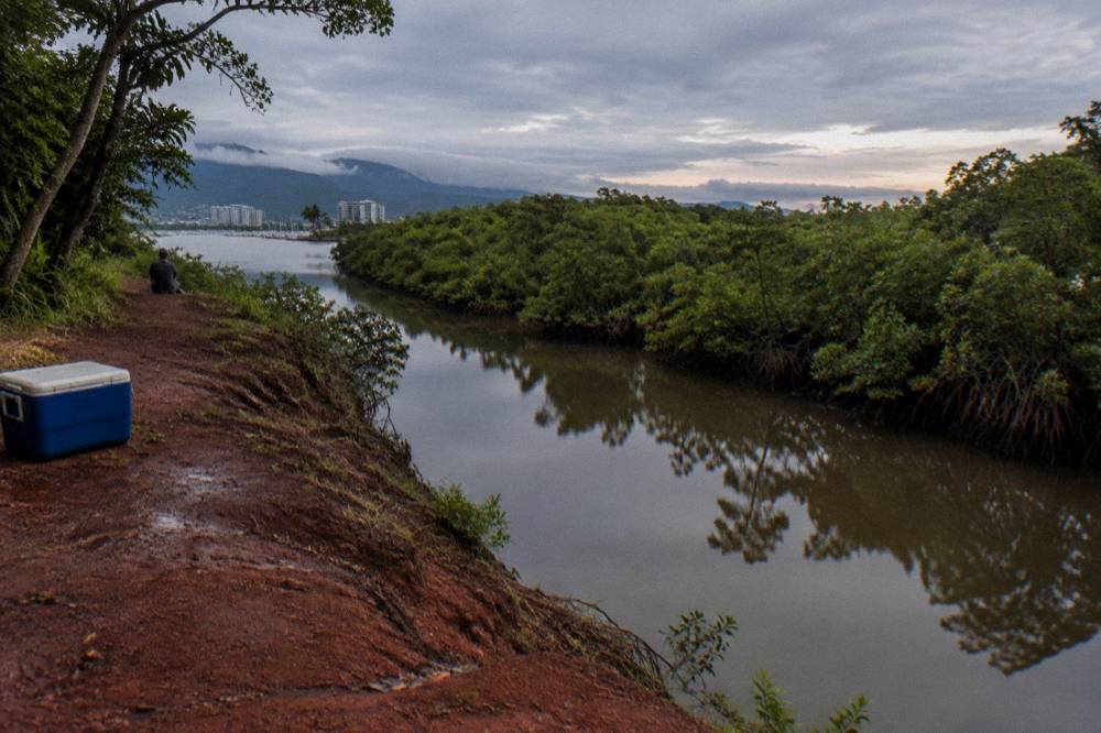 A mangrove lined creek channel at dusk with still water and overcast sky