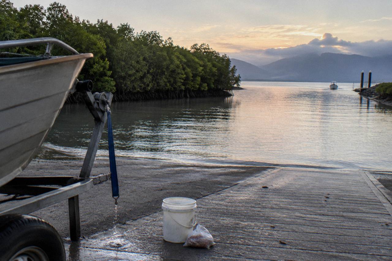 Calm estuary water near Cairns at first light with mangroves along the shore
