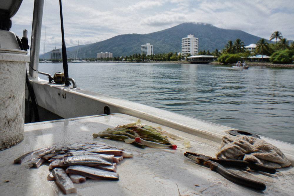 Assorted metal lures and soft plastic lures laid out on a boat deck