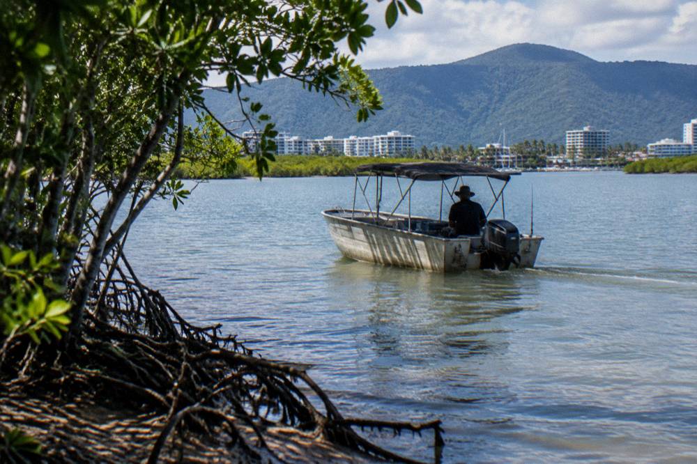 A small shaded aluminium boat underway on calm inlet water near mangroves