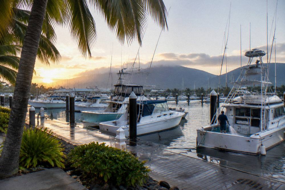 A busy tropical marina at dawn with fishing boats moored at floating berths