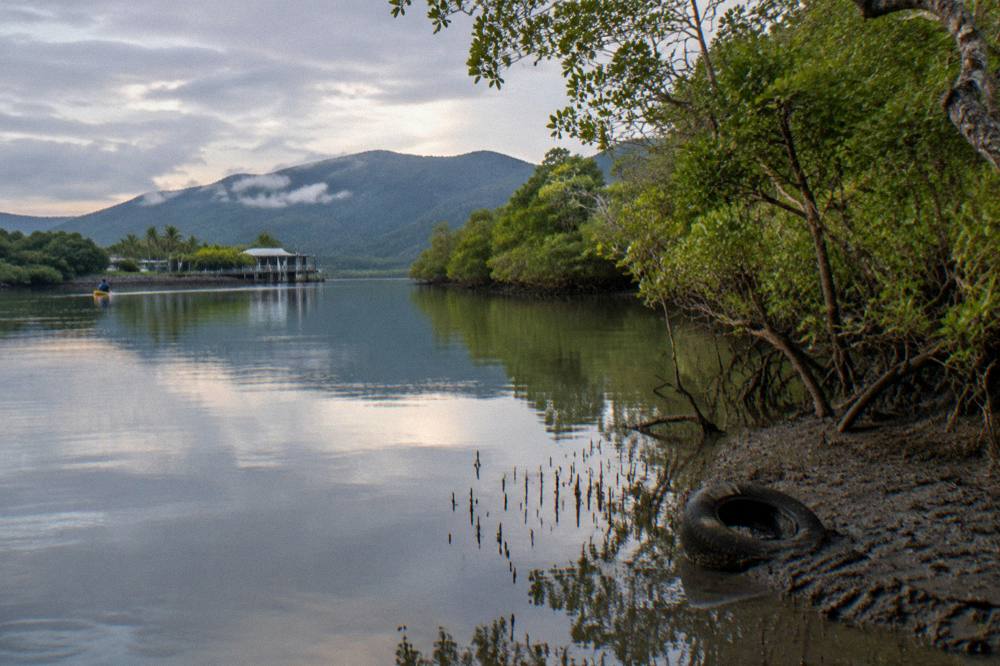 Calm tropical estuary at dawn with mangrove lined banks and still water